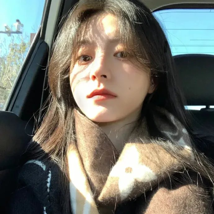 乱马 OVA特别篇 无差别格斗对凤凰